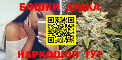 МДПВ Будённовск