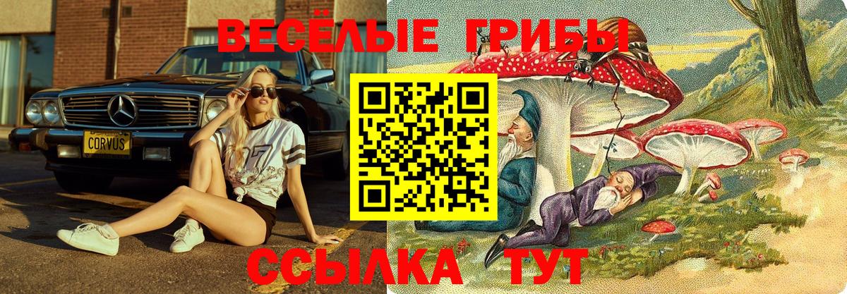 Псилоцибиновые грибы Magic Shrooms  Вход с VPN  Псилоцибиновые грибы Cubensis  Арзамас 