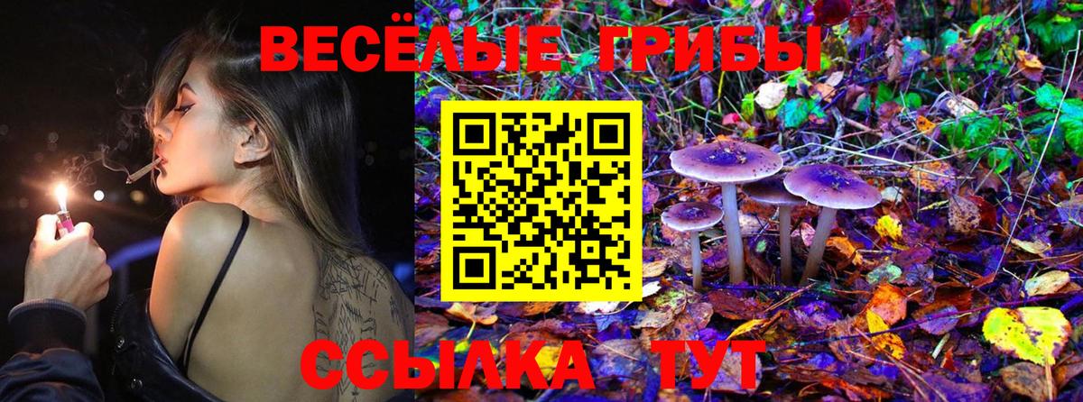 Псилоцибиновые грибы GOLDEN TEACHER Арзамас